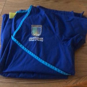 Chamberlain school of nursing